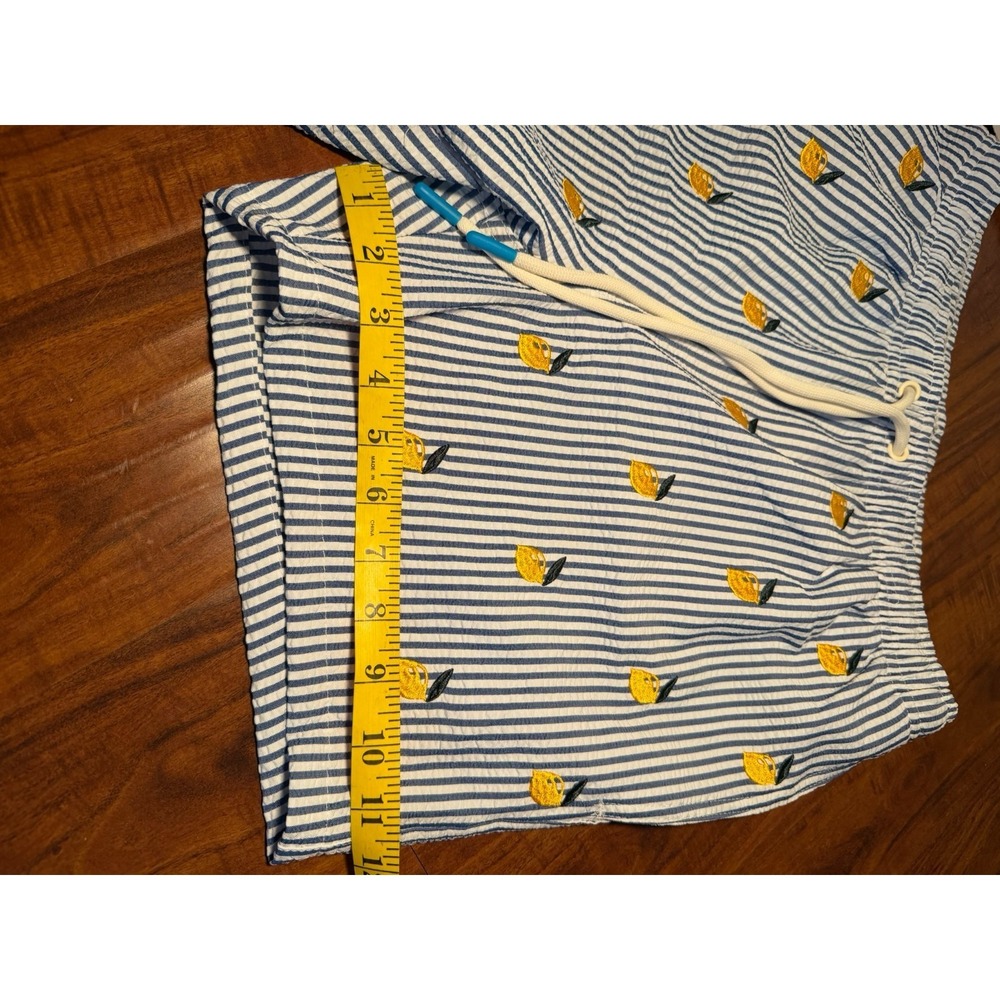 Warren Webber Beachwear Swim Trunks Men's M Lemon Embroidered Striped Shorts - Picture 5 of 7